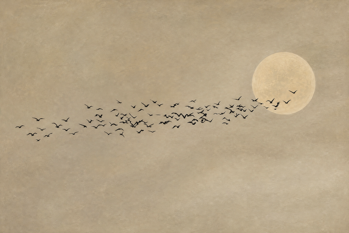 Flock Before the Moon